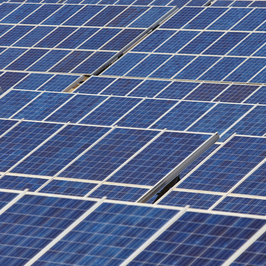 Solar panel plant